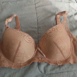 Prima Valentina Womens Brown Lace Bra Size 42D - beyond exchange